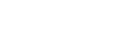 SmartReport